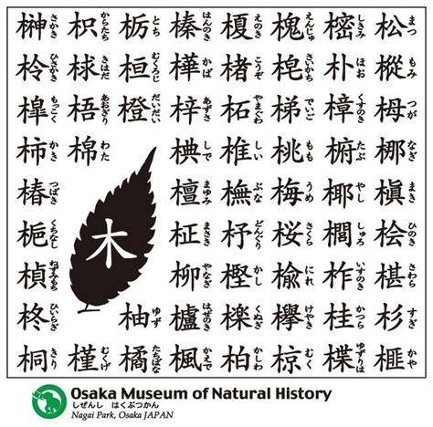 木名|樹木に関する『木偏（きへん）の漢字』50選一覧